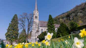 Flower meadow in front of St. Florin's Cathedral in Vaduz - an impressive spring atmosphere in Liechtenstein.
