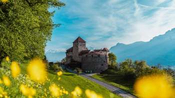 Vaduz Castle with yellow flowers in the foreground on a sunny spring day