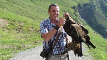 Falconer with his bird of prey in the mountains of Liechtenstein