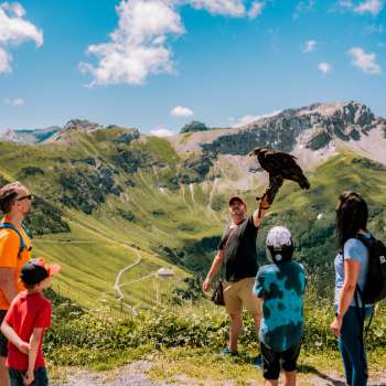 Family watches falconer with bird of prey