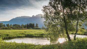Tranquil water landscape in the Ruggell Wetland with soft sunlight and a view of the mountains in the background