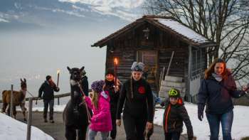 Children and adults on a winter hike with llamas on a snowy path in Liechtenstein with a view of the Rhine Valley
