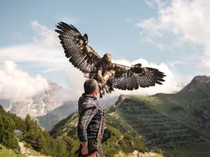 Falconer Norman Vögeli presents an imposing golden eagle against an Alpine mountain backdrop - an impressive natural spectacle at lofty heights.