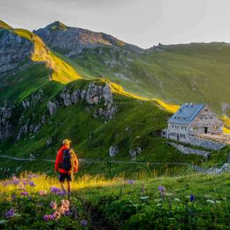 Hiker looks at the Pfälzer hut in Liechtenstein, surrounded by a green mountain landscape and Alpine panorama in the evening light