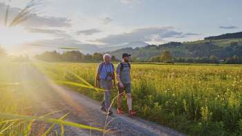 Hike with Marco Büchel on the Liechtenstein Trail with a view of idyllic meadows.