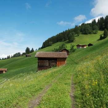 Alpine meadows with scattered wooden barns on a green slope near Masescha.