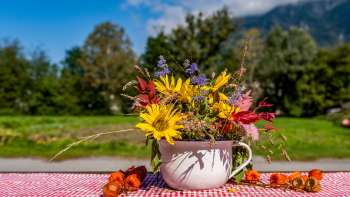 A colorful bouquet of flowers in a nostalgic cup at the Neufeldhof in Liechtenstein - a regional idyll with a view of the Alps.