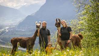 Family with child and two llamas against an impressive Alpine backdrop during a llama and alpaca hike in Liechtenstein.