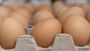 Fresh eggs from Neufeldhof in Liechtenstein - straight from the hen to the shelf, produced regionally and sustainably.