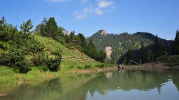 A lake where two hikers are sitting, surrounded by green meadows and forest, with the Liechtenstein Alps in the background.