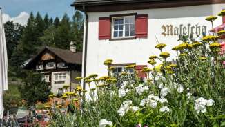 Flowers in the foreground in front of the traditional Berggasthaus Masescha with red shutters in a green Alpine landscape