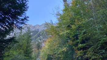 The ruins of Schalun Castle near Vaduz in Liechtenstein, impressively situated on a rocky outcrop with a view of the Alps.