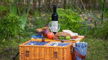 Picnic basket with wine bottle in the forest