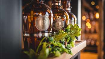 Bottles of freshly tapped beer on a sun-drenched terrace, surrounded by a lively atmosphere