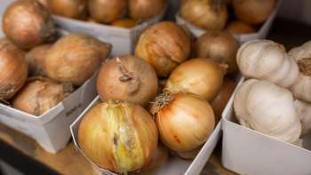 Homemade onions and garlic in the Neufeldhof farm store - high-quality products from Liechtenstein agriculture.