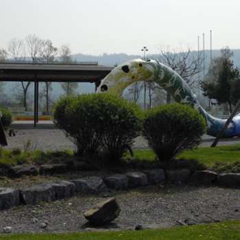 Widau playground