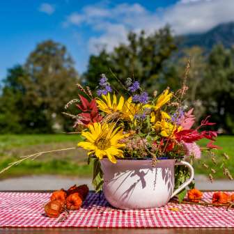 An autumnal bouquet of wild flowers in an enamel cup stands on a red and white checkered tablecloth, with mountains in Liechtenstein in the background.