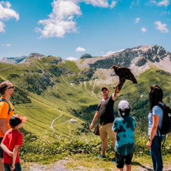 Family watches falconer with bird of prey