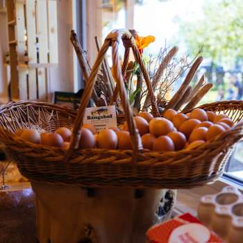 Large wicker basket with fresh free-range eggs in the Bangshof farm store - regional quality direct from the farm.