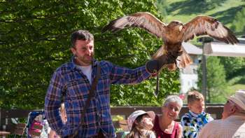 A falconer presents a bird of prey, children and adults watch enthusiastically.
