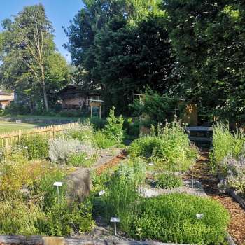 look at the herb garden in Mauren with labeled plant beds, flowering herbs and well-tended paths in summery surroundings.