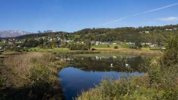 Winter atmosphere at Egelsee in Mauren with frozen lake, snow-covered reeds and clear sky.