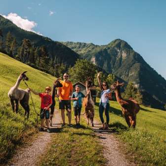 Family shoot with llamas and alpacas in summer Malbun