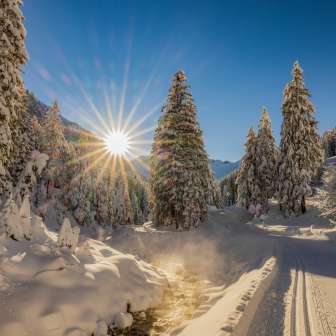 Snow-covered winter landscape in Steg in Liechtenstein with sunshine, cross-country ski trails and snow-covered trees.