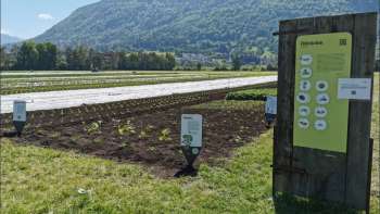 View of an information board and mountains in the background on the Weltacker Mauren