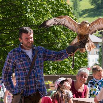 A falconer presents a bird of prey, children and adults watch enthusiastically.