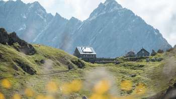 Pfälzerhütte hut mountain backdrop and flowers in the foreground.