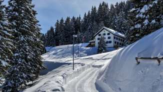 Sücka toboggan run