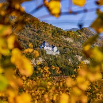 View of Vaduz Castle in Liechtenstein in the fall, framed by golden yellow leaves and an autumnal natural backdrop.