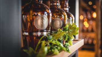 Bottles of freshly tapped beer on a sun-drenched terrace, surrounded by a lively atmosphere