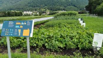 View of the Weltacker Mauren with a blue information board in the foreground