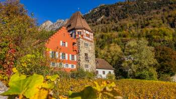The Red House in Vaduz surrounded by autumnal vines on the hillside.