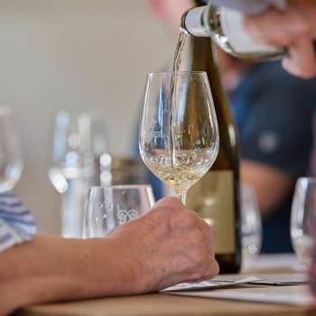 A glass of white wine is poured during a guided tasting.