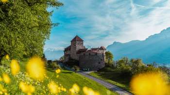 Vaduz Castle with yellow flowers in the foreground on a sunny spring day Vaduz Castle with yellow flowers in the foreground on a sunny spring day