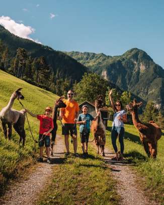 Family shoot with llamas and alpacas in summer Malbun