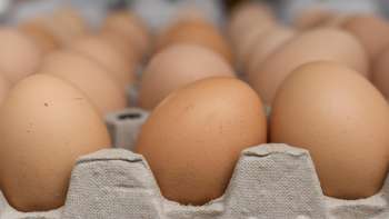 Fresh eggs from Neufeldhof in Liechtenstein - straight from the hen to the shelf, produced regionally and sustainably.
