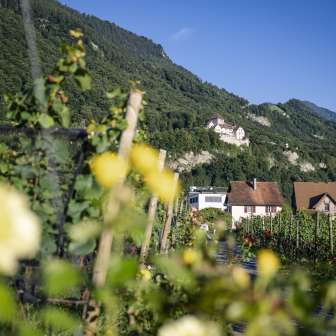 Vaduz Castle – Summer