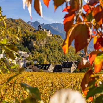 View of Vaduz Castle in an autumnal atmosphere