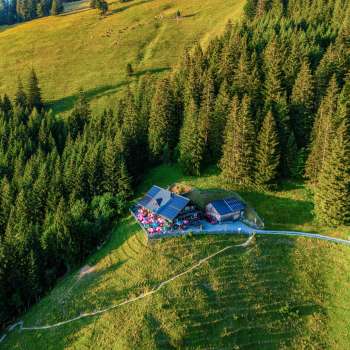 Aerial view of the Gafadura hut: Idyllically situated Gafadura hut on a green alpine meadow above Planken