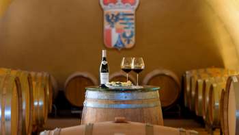 Wine tasting at the Court Winery of the Prince of Liechtenstein