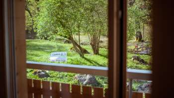 View from the balcony of the guest house at the Mittagsspitze campsite into the greenery with trees and sunbathing lawn.