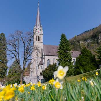 Flower meadow in front of St. Florin's Cathedral in Vaduz - an impressive spring atmosphere in Liechtenstein.