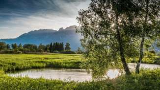 Atmospheric evening light over the Ruggell Wetland with the course of the river, trees and a view of the mountains in the background.