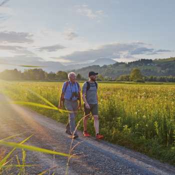 Hike with Marco Büchel on the Liechtenstein Trail with a view of idyllic meadows.