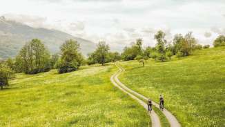 Two gravel bikers on a winding path through flowering meadows with a panoramic view of the Alps in Liechtenstein - cycling in untouched nature