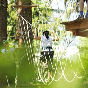 Woman crosses a net in the high ropes course, surrounded by dense greenery and sunlight